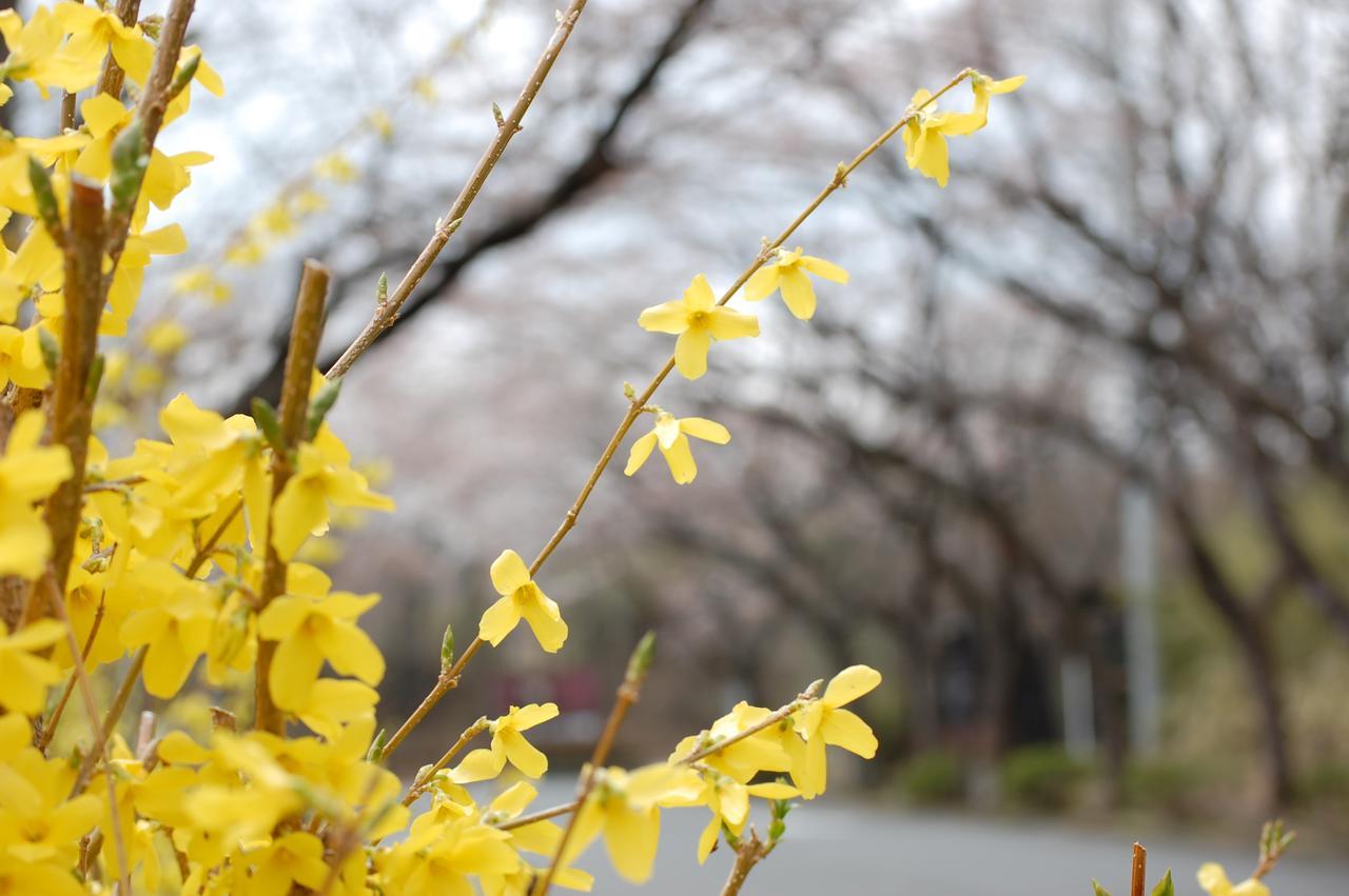 Отель Kunihiro Yashiki Насу Экстерьер фото